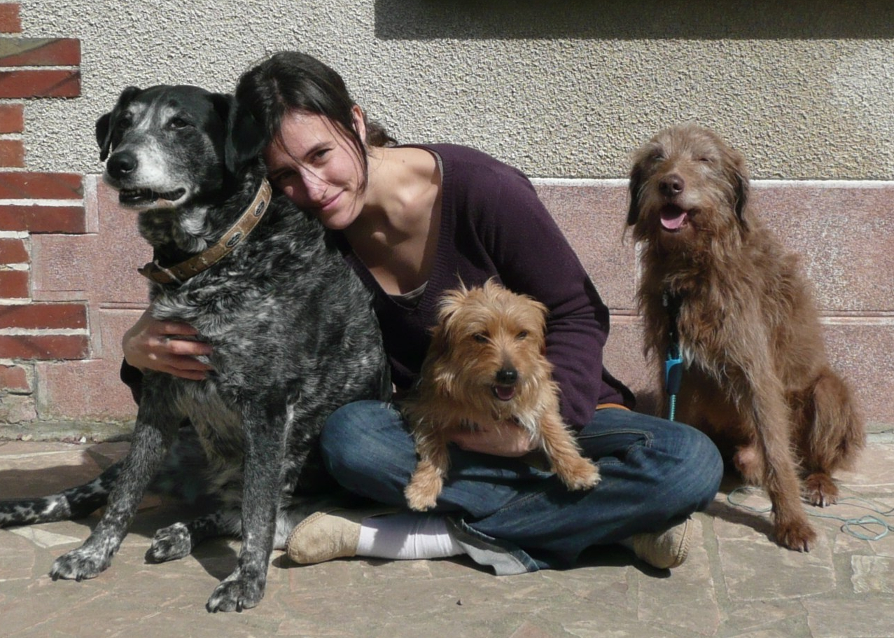 moi et tous mes chiens